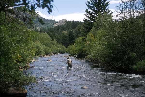 Skyline Cottages Estes Park Bagian luar foto